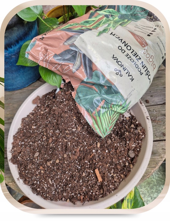 Podłoże Bigos lekka ziemia 3 x 8L do roślin zielonych Mieszanka