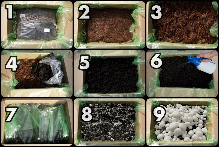 GRZYBNIA PIECZARKI BIAŁEJ BALOT 20KG ZESTAW 3FAZA + TORF 9KG +