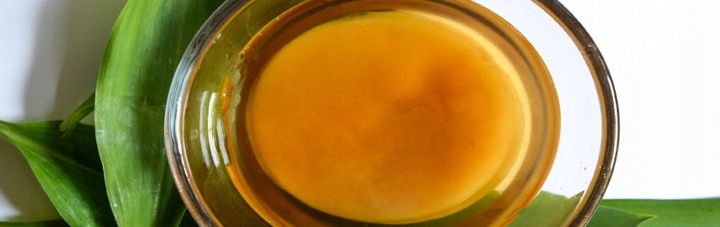 Kombucha, Grzyb Herbaciany 1 szt.