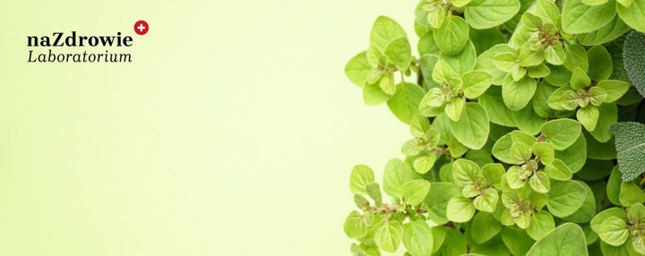 OLEJEK OREGANO 30ml z dzikiego oregano 60% karwakrolu NATURALNY 100% czysty