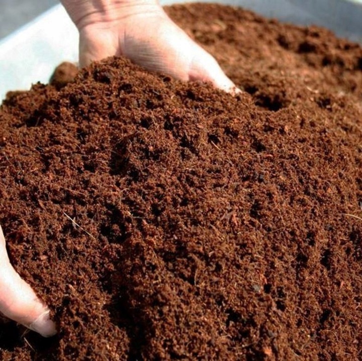 Włókno kokosowe TORF w KOSTCE podłoże 70L ziemia do wysiewu brykiet 5