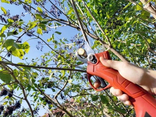 SEKATOR AKUMULATOROWY KOWADEŁKOWY NOŻYCE OGRODOWE ELEKTRYCZNE 2X BATERIA