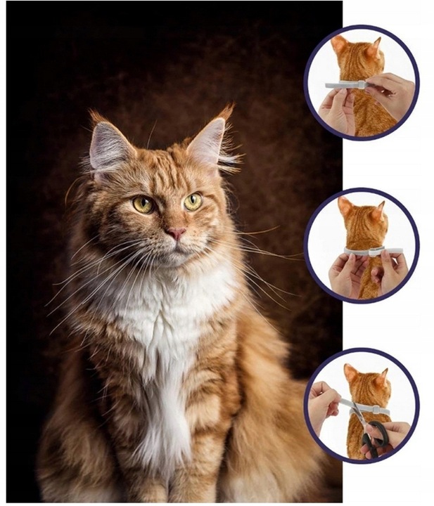 OBROŻA DLA KOTA NA PCHŁY KLESZCZE 8 MIESIĘCY 40 CM UNIWERSALNA