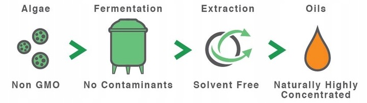 Aliness Vegan Omega 3 FORTE DHA 500mg SERCE 60kap