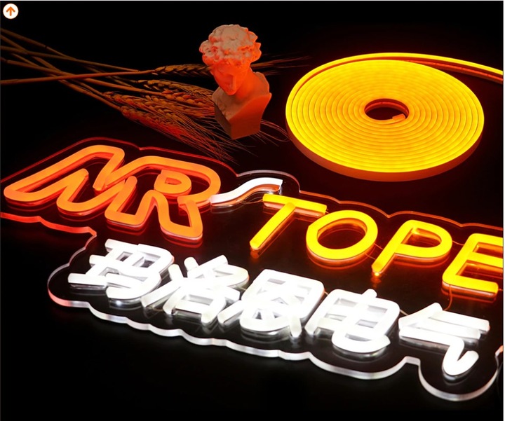 Taśma LED NEON WODOODPORNY WĄŻ 10W RGB 230V zewnętrzna linia 1M ściemnialna