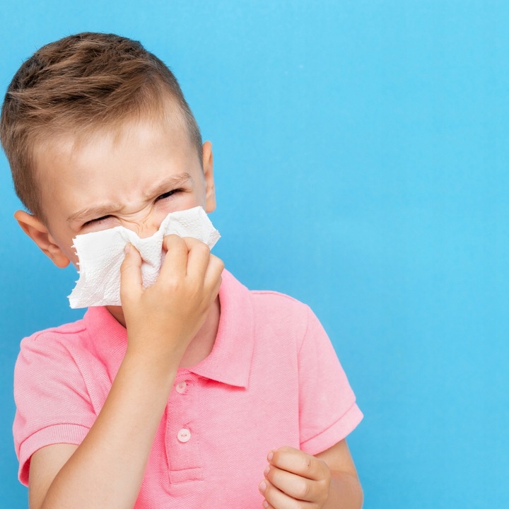 CHUSTECZKI HIGIENICZNE Alice 12x 100 sztuk 2W CELULOZA WYCIĄGANE W PUDEŁKU