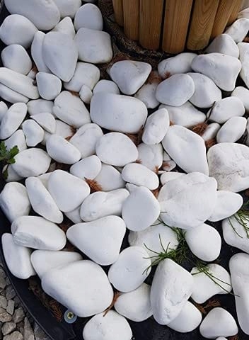 OTOCZAK BIAŁY KAMIEŃ THASSOS BIAŁE OTOCZAKI do OGRÓDU i DONICZEK 10 KG