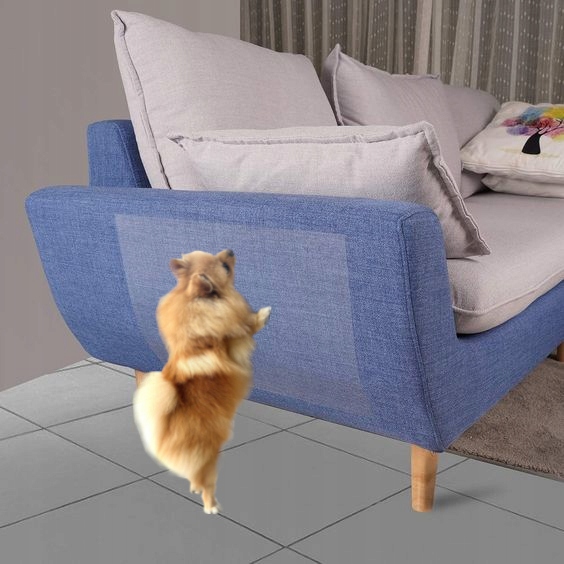 FOLIA OCHRONNA DRZWI PRZECIW DRAPANIU 100x100, 1x1