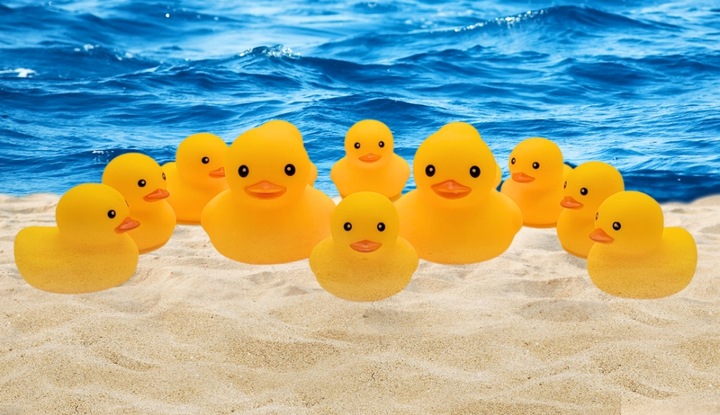 KACZKI Kaczuszki komplet 12 sztuk ŚMIESZNY ZABAWNY PREZENT PISZCZAŁKA