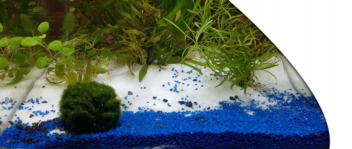 Biały, śnieżnobiały piasek do akwarium PREMIUM