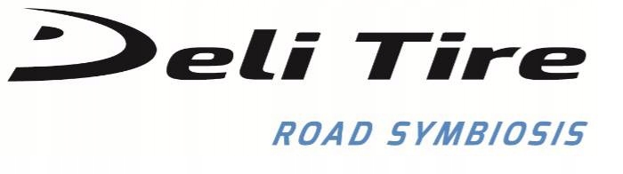 DELI TIRE 130/70-12 TL 56L SC106 Przód/Tył