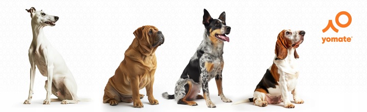 PIES do 25 KG - PORĘCZNA AUTOMATYCZNA SMYCZ dla PSA / MOCNA ZWIJANA TAŚMA