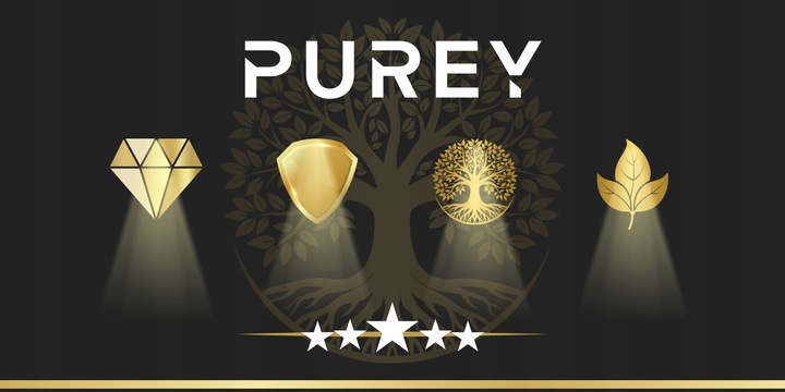 3x FILTR PUREY DO ODKURZACZA KARCHER WD2 WD3 KWD3 MV2 MV3 SE4 SE4001