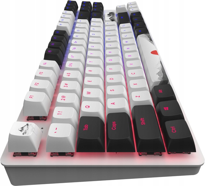 Klawiatura DARK PROJECT DPO87 Fuji