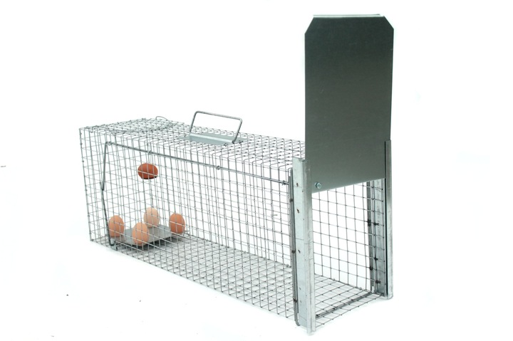 żywołapka pułapka lisy kuny wydry bobry koty