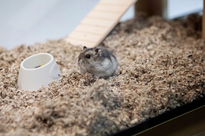 COMFY COTTON BEDDING PODŁOŻE BAWEŁNIANE 10L