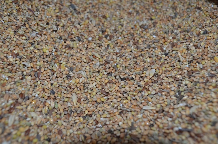 Karma dla dzikich ptaków gołębi drobne ziarno Omix