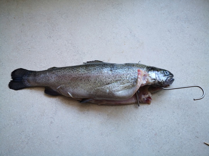 Hak haczyk wędzarniczy do wędzenia ryb potrójne z rozpórką 10 szt. ZUT