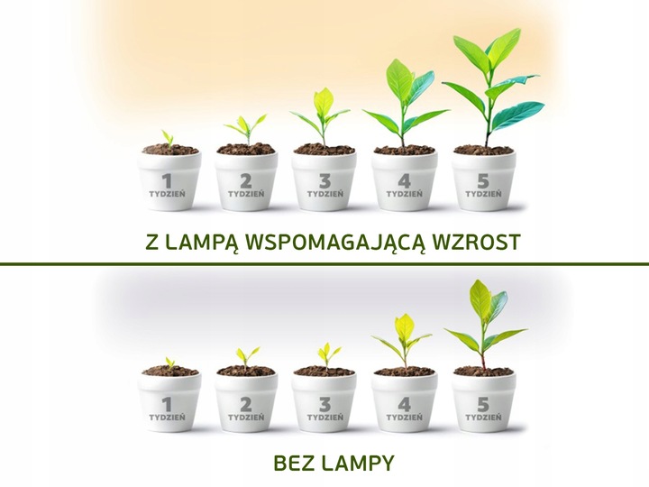 Przewód Kabel Zasilający ze Sterownikiem LED PC do Lampy Growly 3m