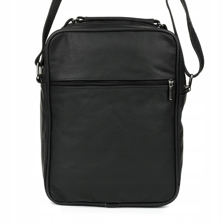 Beltimore męska poręczna torba skórzana pionowa