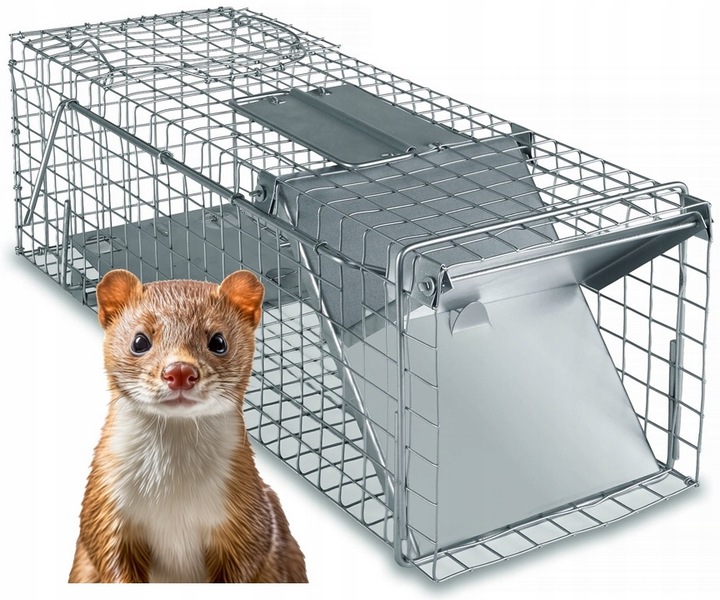 ŻYWOŁAPKA PUŁAPKA NA KUNY SZCZURY ŁASICE NORKI TCHÓRZE ŁASKI ŁAPKA