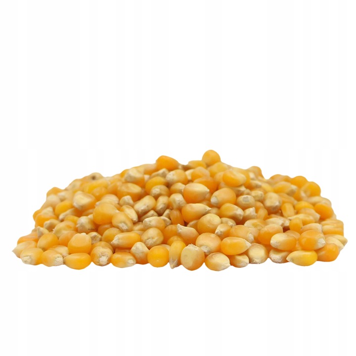 POPCORN KUKURYDZA do prażenia ziarno bez soli 10kg