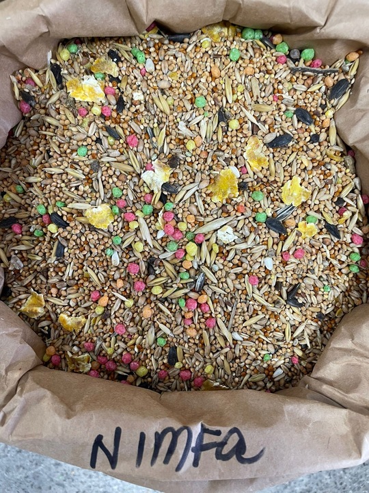 Karma Jedzenie Pokarm Z Słonecznikiem Dla Ptaków Papug Średnich Nimfa