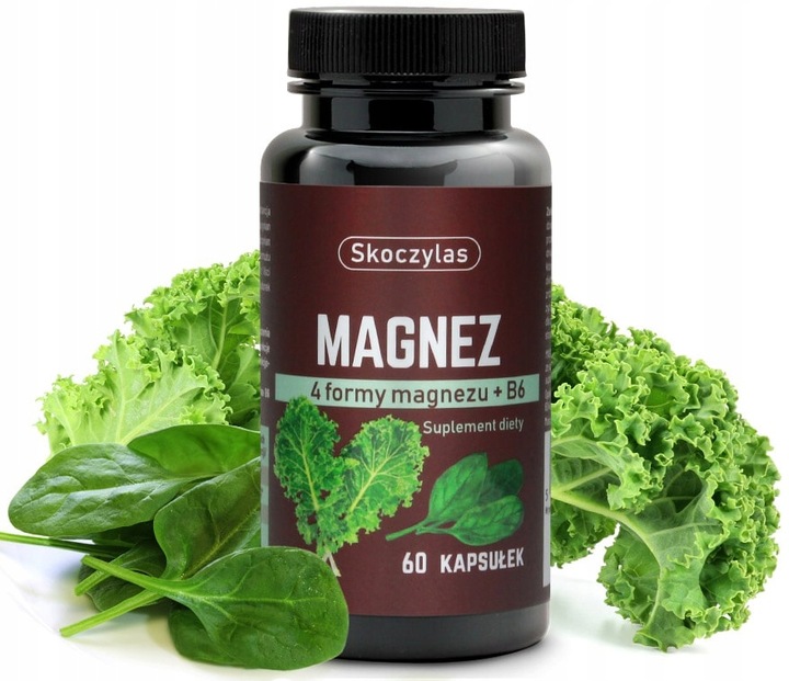 Skoczylas MAGNEZ 4 FORMY szpinak JARMUŻ wit. B6