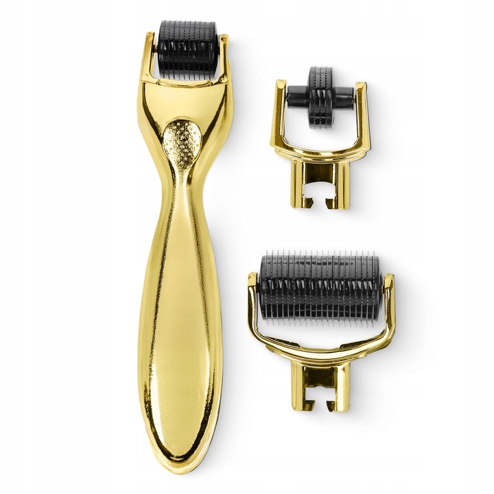 ROLLER DO MEZOTERAPII MIKROIGŁOWEJ DERMA WYMIENNE KOŃCÓWKI FACE ROLLER 3w1