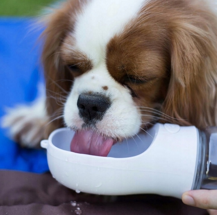 BUTELKA NA WODĘ DLA PSA BIDON POIDŁO MISKA 0,35L PRZENOŚNA SPACER TURYSTYCZ
