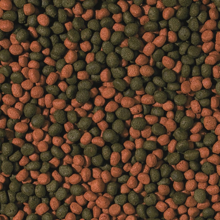 Tropical Cichlid Omnivore Medium dla średnich i dużych pielęgnic 1000ml