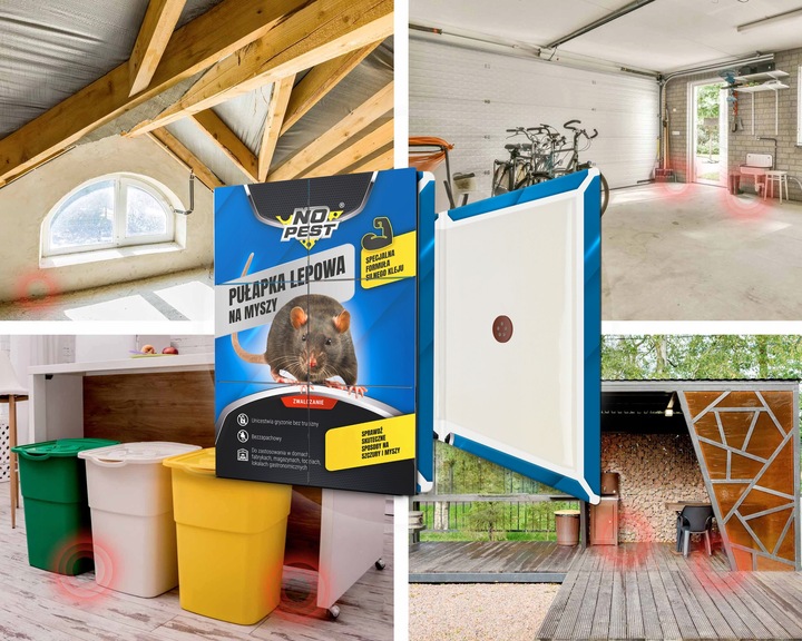 LEP PUŁAPKA KLEJOWA ŁAPKA MYSZOŁAPKA NA MYSZY SZCZURY NO PEST BARDZO
