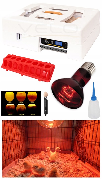 INKUBATOR AUTOMATYCZNY VELO na 35 JAJ do KURZYCH INDYCZYCH GĘSICH KACZYCH