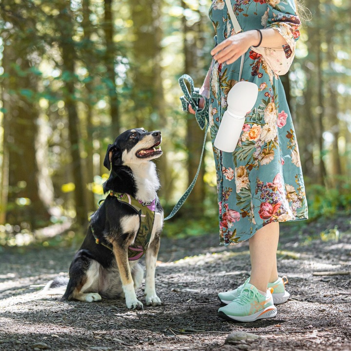 Butelka na Wodę dla Psa Bidon z Miską Poidło Turystyczne Składane