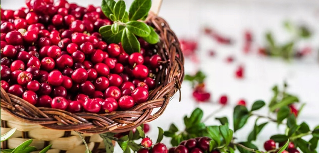 BESTLAB BestForKids DLA DZIECI NA ODPORNOŚĆ WITAMINY 30 + GRATIS