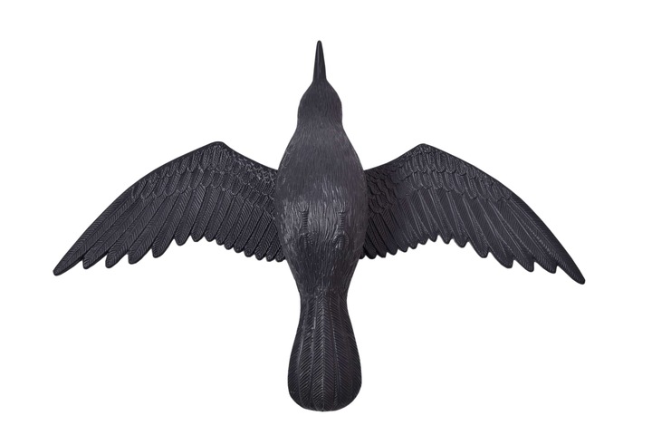 KRUK LATAJĄCY ODSTRASZACZ W LOCIE NA BALKON TARAS GOŁĘBI PTAKÓW