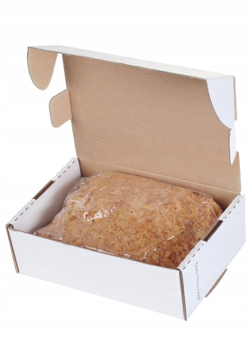 2x Pg POSZWALD Eko Grzybnia do rozkładu pni drzew