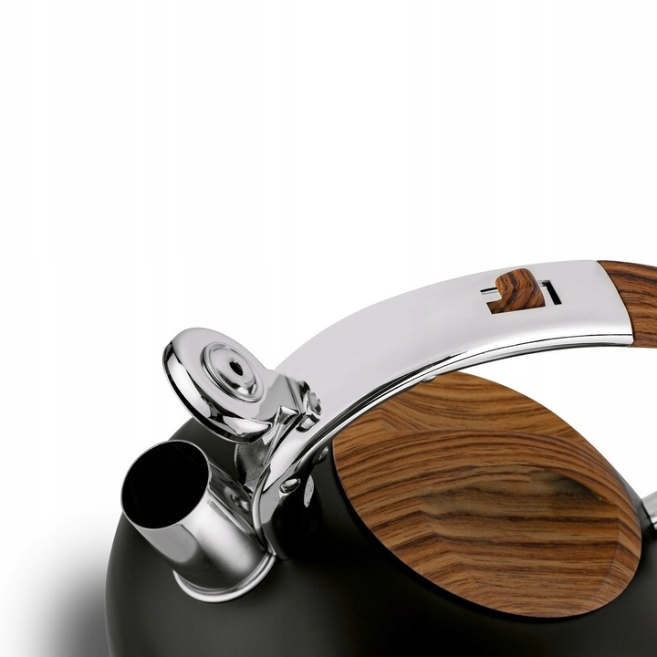 Energooszczędny CZAJNIK INDUKCJA z GWIZDKIEM czajnik NA GAZ 2,5L Douglas