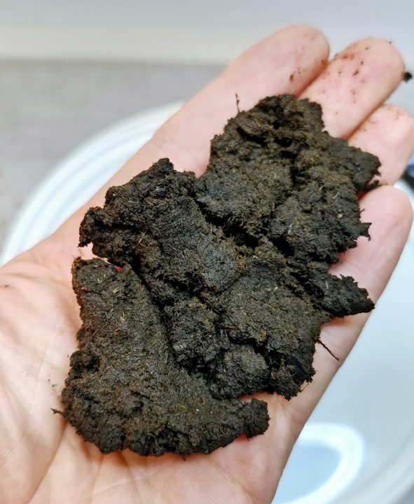 Borowina Wieniecka wiaderko 5 kg REUMATYZM URAZY