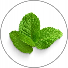 szampon do włosów przetłuszczających się Wax 200ml