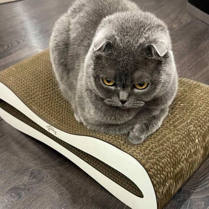 Drapak dla kota kartonowy 51x25x14 MONO ADELECAT DUŻY LEGOWISKO NISKI