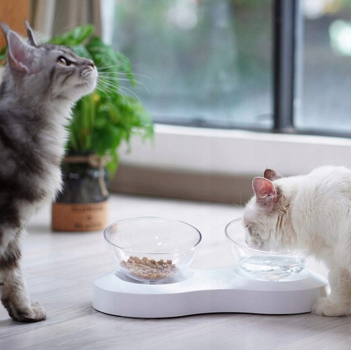 Podwójna Miska dla Kota Miska dla małego Psa Regulowana Antypoślizgowa