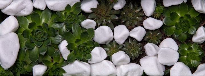 KAMIEŃ BIAŁY THASSOS OTOCZAK GRECKI DO OGRODU DEKORACYJNY 2-4cm 20kg