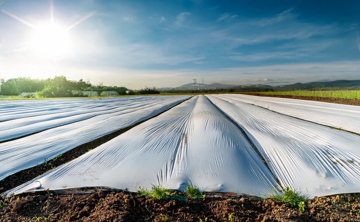 AGROWŁÓKNINA BIAŁA GF 1,6x30m 50g Jesienno/ZIMOWA OKRYCIOWA OTULINA