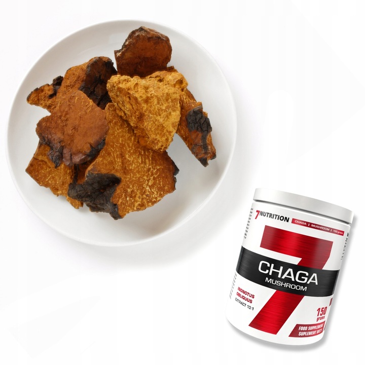 Lions mane soplówka jeżowata Chaga Cordyceps Reishi Grzyby mushroom proszek
