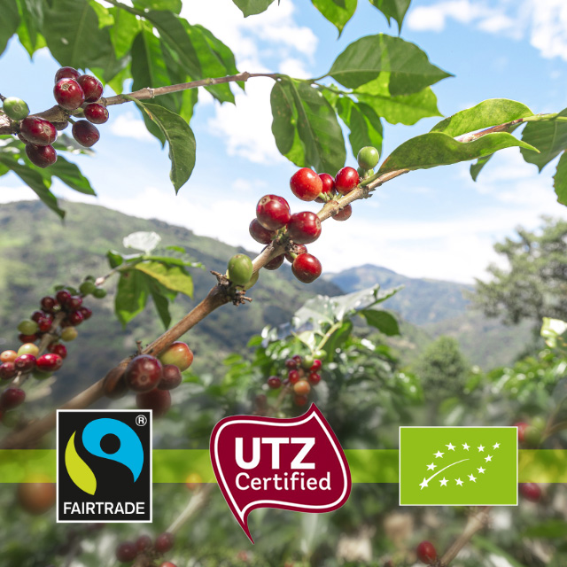 Kawa ziarnista JULIUS MEINL PREMIUM CAFFE CREMA 1kg | top Arabica i