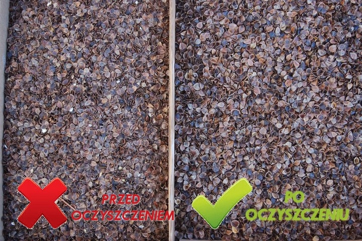 Poduszka ZAFU do MEDYTACJI JOGI gryka ATEST PZH