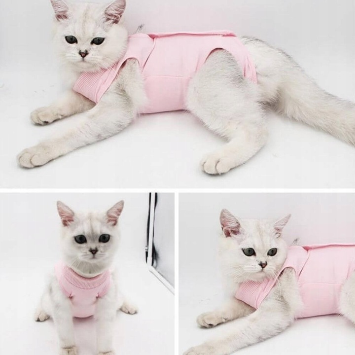 MIĘKKIE UBRANKO POOPERACYJNE DLA KOTA MOLLY S