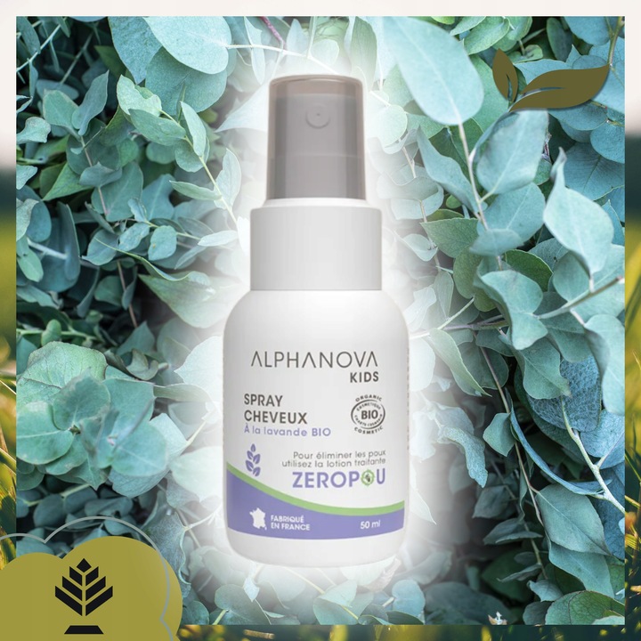 Spray do włosów z lawendą 50 ml pielęgnacja w kuracji przeciw wszawicy