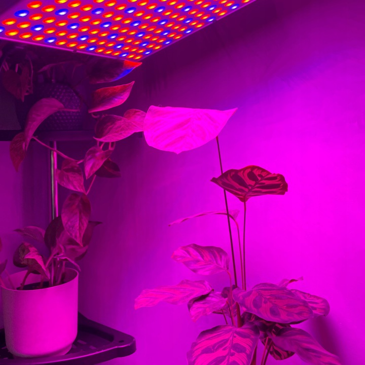 Lampa do Wzrostu Roślin Panel do Uprawy 225 LED + Liny Mocna 36W Wisząca